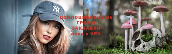 эйфоретик Белоозёрский